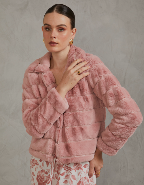 Abrigo Aldana Rosa